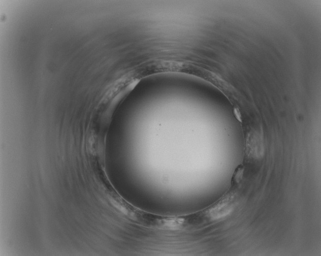 X0000063460474200601271609