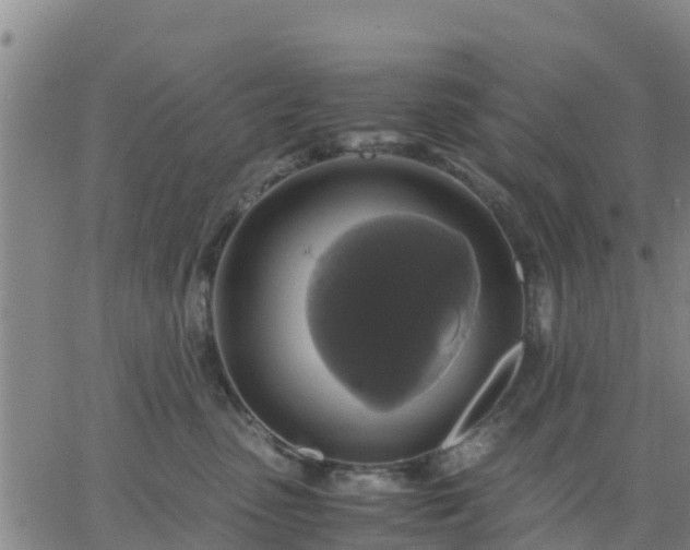 X0000063460475200601271609