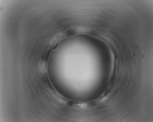 X0000063460478200601271609