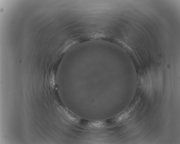 X0000063460479200601271609