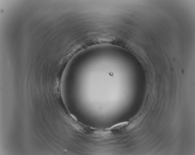 X0000063460480200601271609