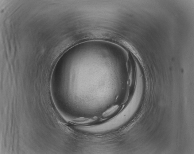 X0000063460481200601271608