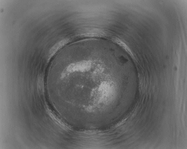 X0000063460482200601271608