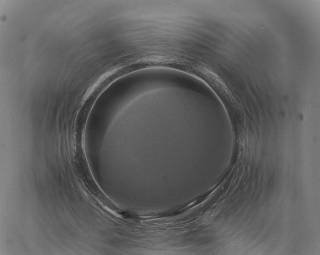 X0000063460484200601271608