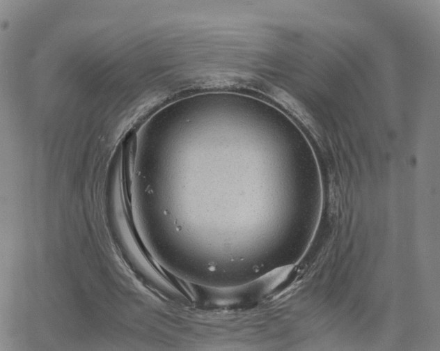 X0000063460485200601271608