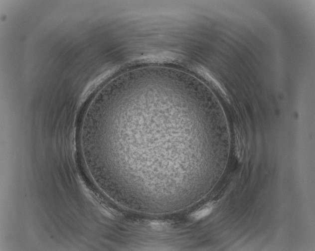 X0000063460486200601271608