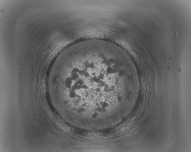 X0000063460487200601271608