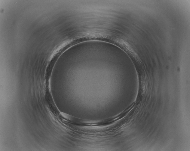 X0000063460488200601271608