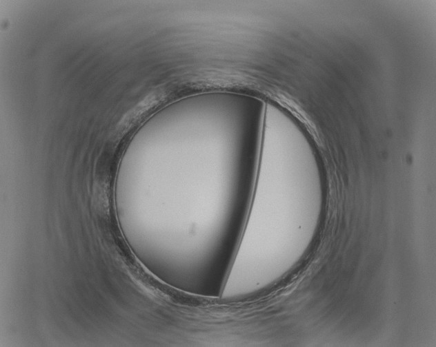 X0000063460489200601271608