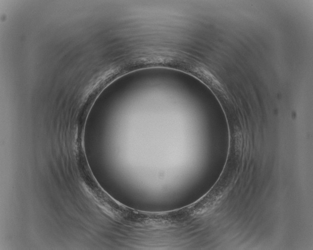 X0000063460490200601271608