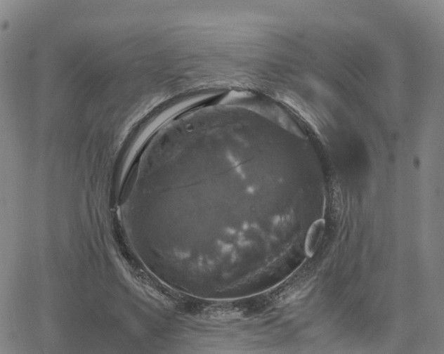 X0000063460491200601271608