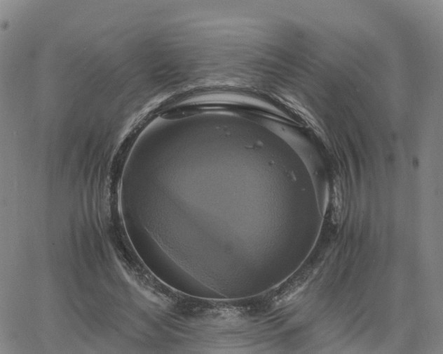 X0000063460492200601271608