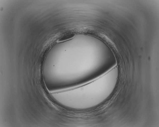 X0000063460493200601271608