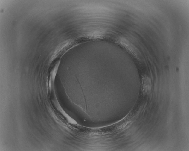 X0000063460494200601271608