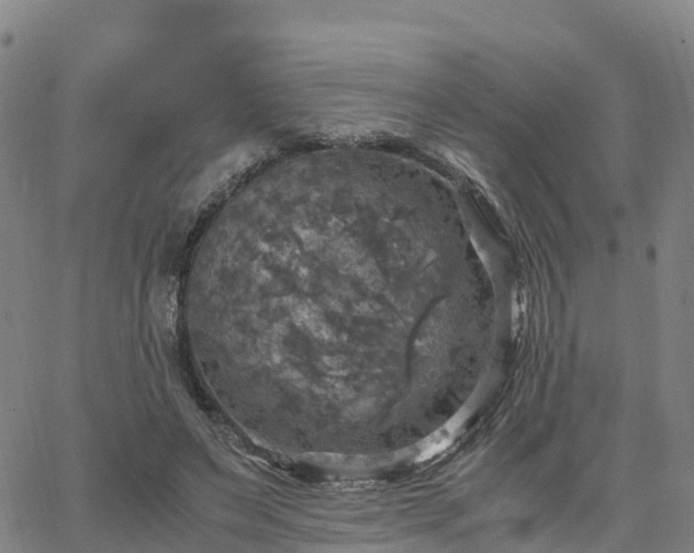 X0000063460495200601271608