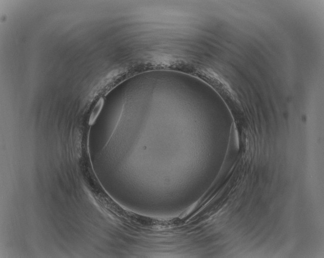 X0000063460496200601271608