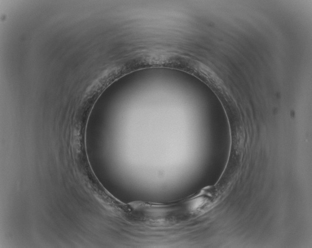 X0000063460497200601271608