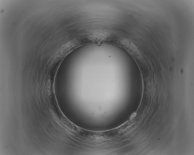 X0000063460498200601271608