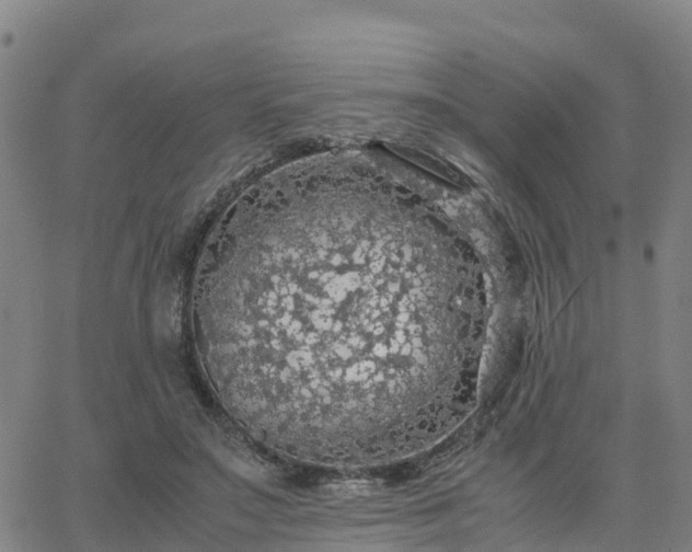 X0000063460499200601271608