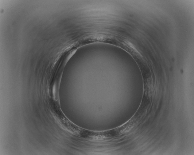 X0000063460500200601271608