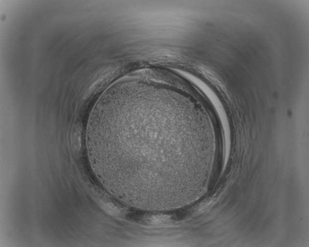 X0000063460501200601271608