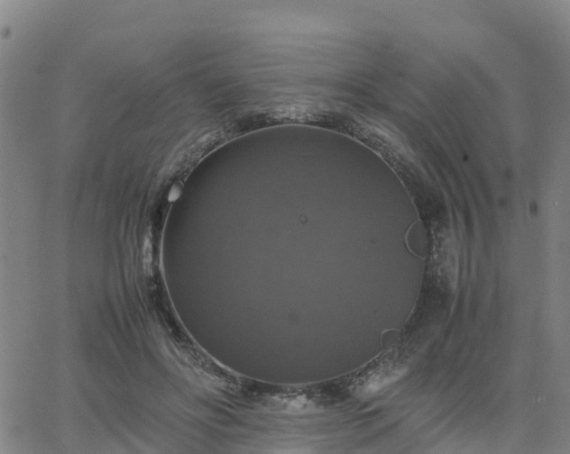 X0000063460502200601271608