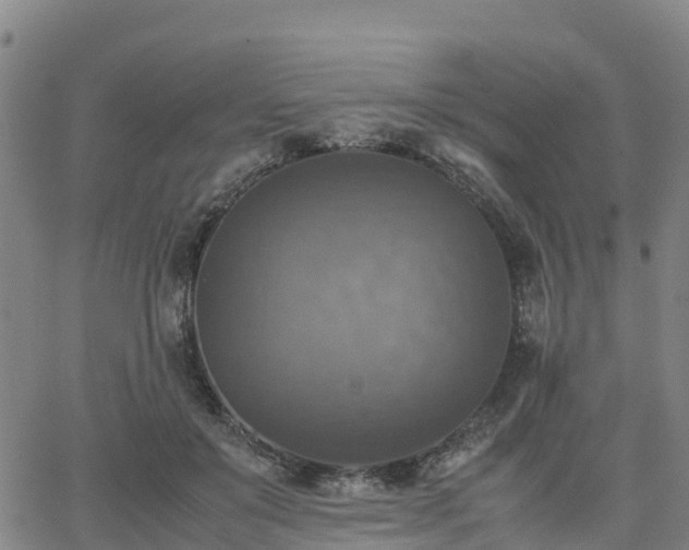 X0000063460503200601271608