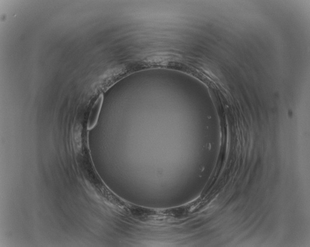 X0000063460504200601271608