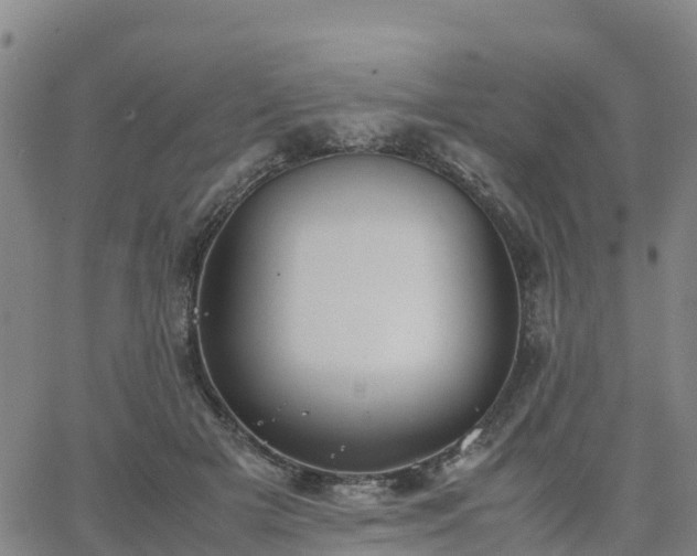 X0000063460505200601271608