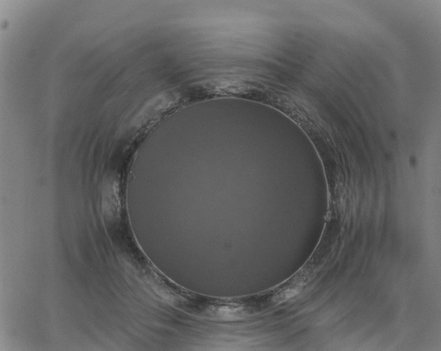 X0000063460506200601271608