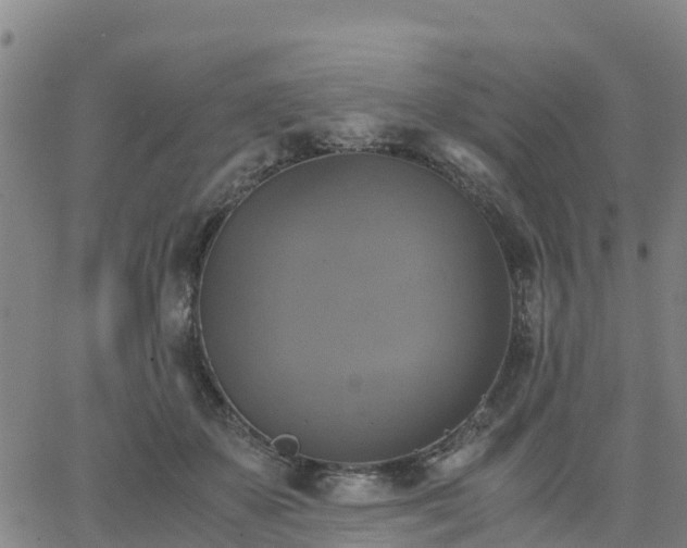 X0000063460507200601271608