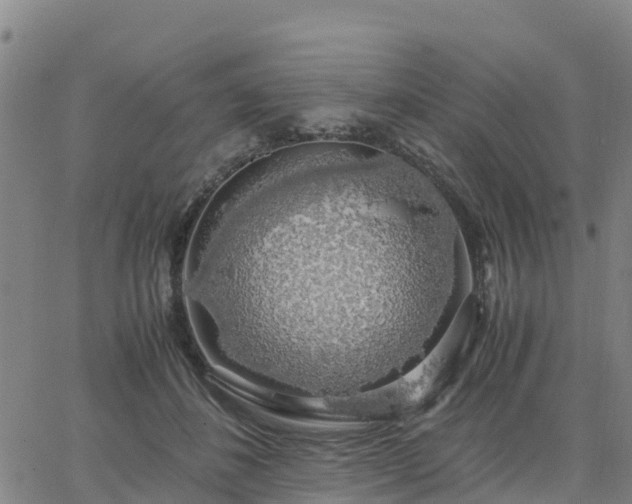 X0000063460508200601271608