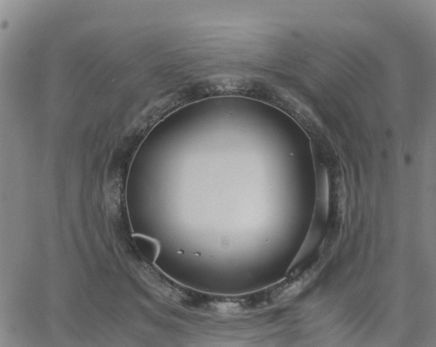 X0000063460509200601271607