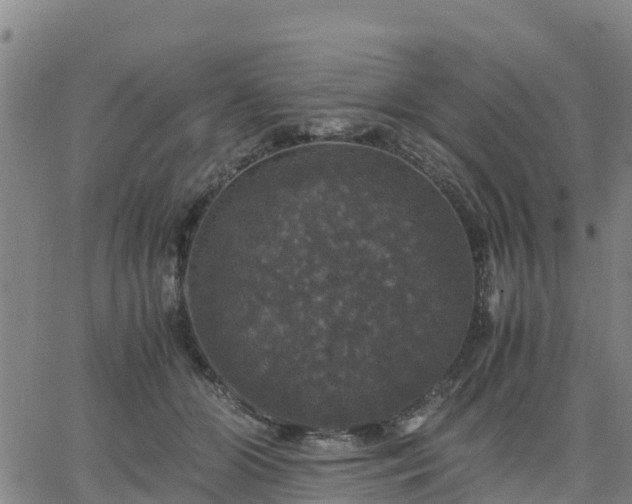 X0000063460510200601271607