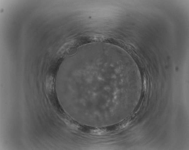 X0000063460511200601271607