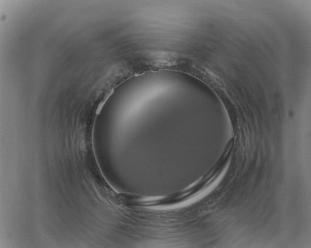 X0000063460512200601271607