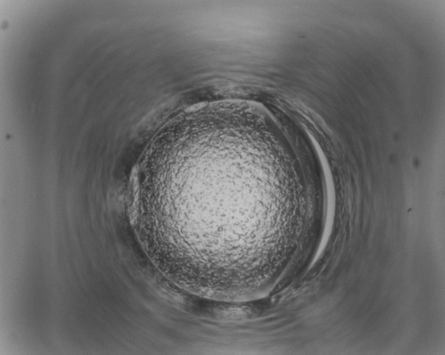 X0000063460513200601271607