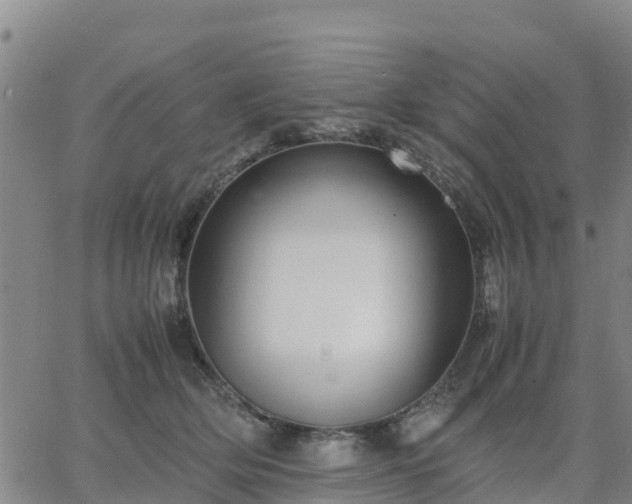 X0000063460514200601271607