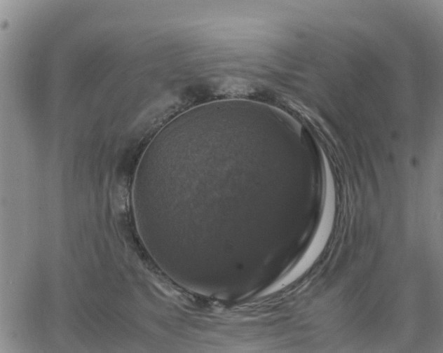 X0000063460517200601271607