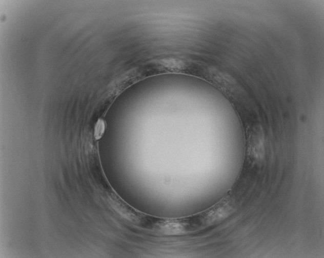 X0000063460518200601271607