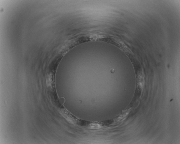 X0000063460519200601271607