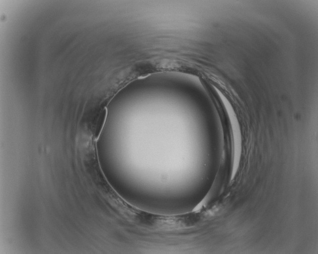 X0000063460521200601271607