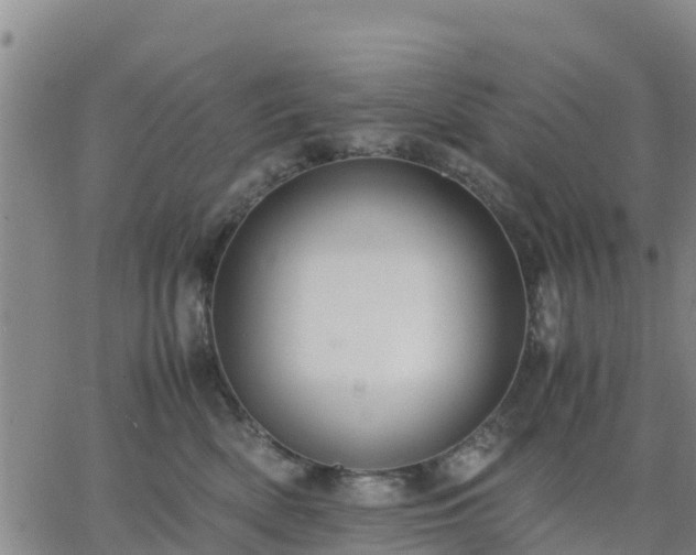 X0000063460522200601271607