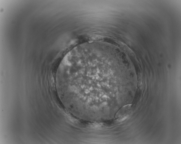 X0000063460523200601271607