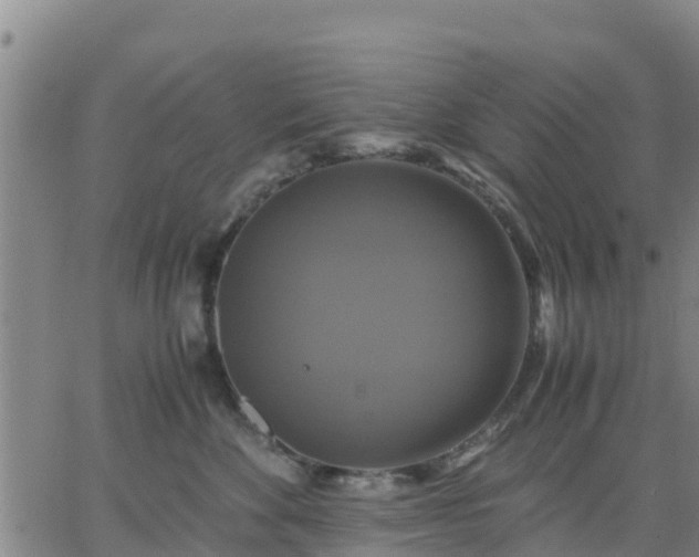 X0000063460524200601271607