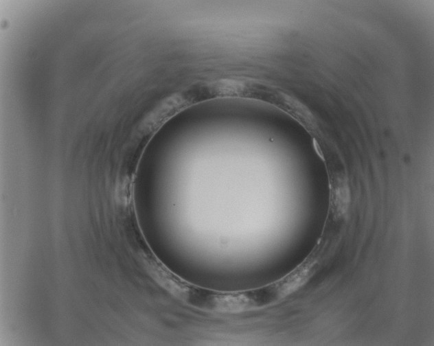 X0000063460525200601271607