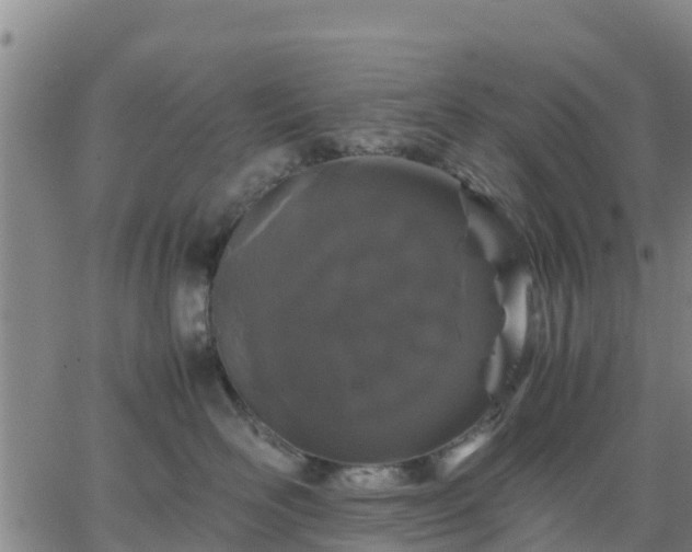 X0000063460526200601271607