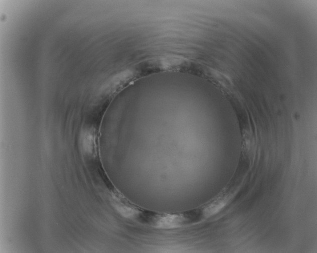 X0000063460527200601271607