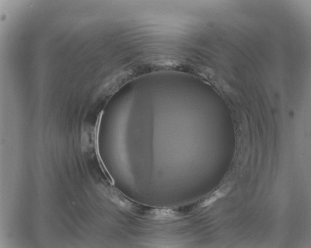 X0000063460528200601271607