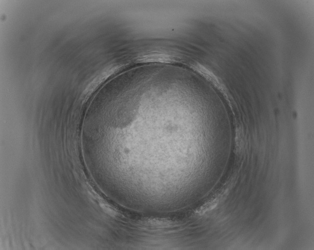 X0000063460529200601271606